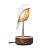 Ivory White
