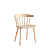 Beech