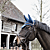 Blauw