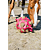 Roze