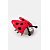 Rood