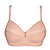 Powder Rose