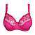 Fuchsia Fiesta