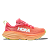 CPPY-coral/papaya