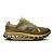 SAFARI/OLIVE