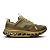 SAFARI/OLIVE
