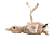 oat