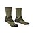 736 Olive