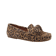 BRUJO LEO CAMEL 