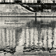 NoColour