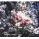 NoColour
