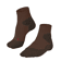 chestnut