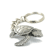 Sea Turtle