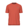 AAE