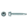NVT