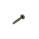 NVT