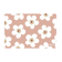 NoColour