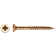 NVT
