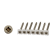 NVT