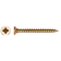 NVT