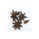 NoColour