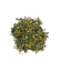 NoColour