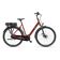 ROOD BRUIN GLANS