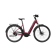 CHRUSHED BERRY