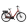 ROOD BRUIN GLANS