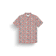 B Aster Print
