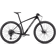 TARMAC BLACK/ABALONE