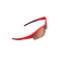 GLOSSY ROOD