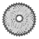 NoColour