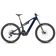 Night Rider brillant
