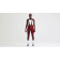 Garnet Red