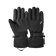 Black/Silver