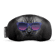 Bad Kitty