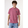garci1067softrotrose