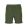 namei4619972rifgreen