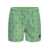 SummerGreen