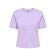 Lavendula