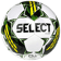selecwhite/greegreen