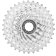 NoColour