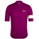 Purple/White