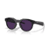 Black/Transition Amethyst