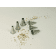 NoColour