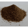 NoColour