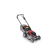 NoColour