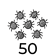 50 larven