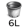 P6L